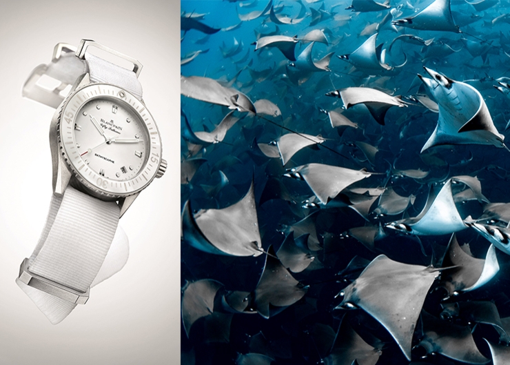 從她的視角,看見海的美|Blancpain 創立「女性Fifty Fathoms五十噚」攝影獎