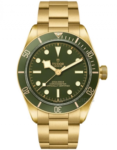 TUDOR - BLACK BAY - M79363N-0001 - TUDOR 2026 年價格更新，Black Bay、Pelagos 有咩變化？一文睇清