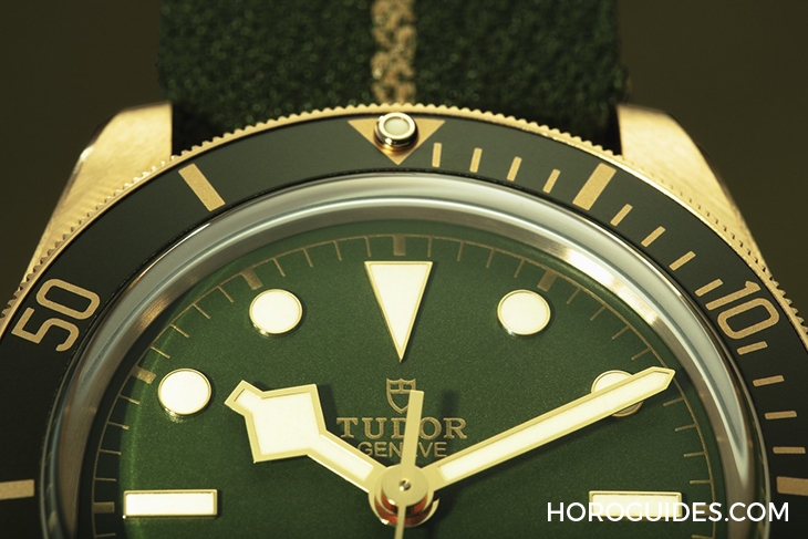 TUDOR - BLACK BAY - M79360N-0008 - 熊貓外送金包銀|TUDOR帝舵2021新錶全攻略