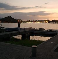黃振宏