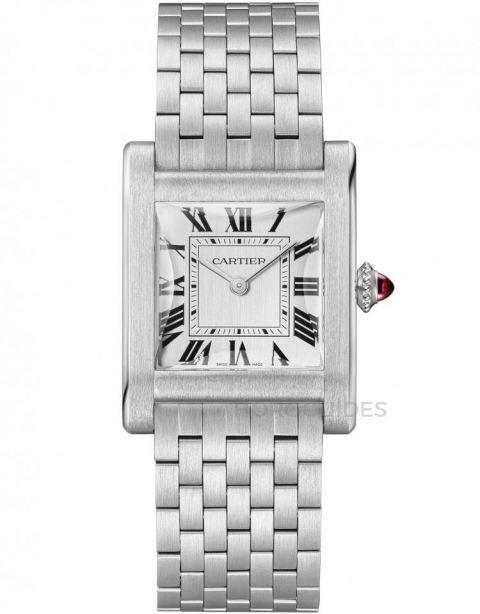 CARTIER - PRIVÉ - WGTA0111 - 編輯最愛，Singing精選2023年度錶款