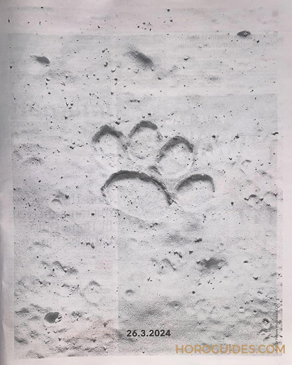 OMEGA - SPEEDMASTER - 310.32.42.50.02.001 - OMEGA x SWATCH將推出Speedmaster Snoopy史努比?Never Say Never.