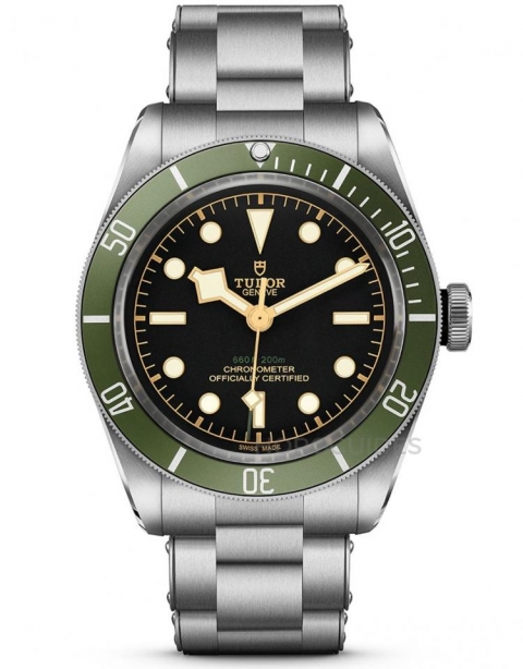 TUDOR - BLACK BAY - M79230G-0001 - TOP 100名錶熱搜排行榜:8月重點速報
