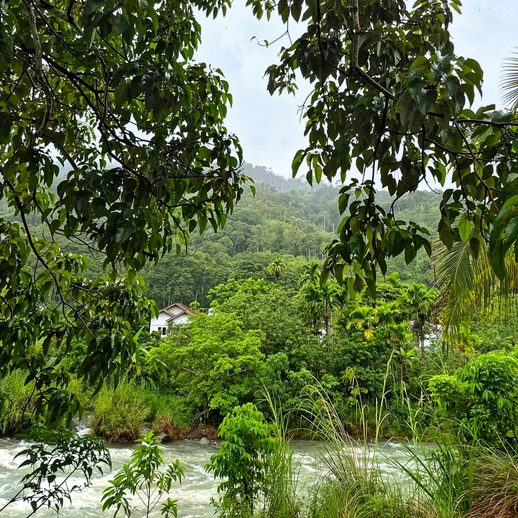 ROLEX - ROLEX勞力士2026年大獎揭曉!五位女性得主,以行動改寫全球保育與創新篇章