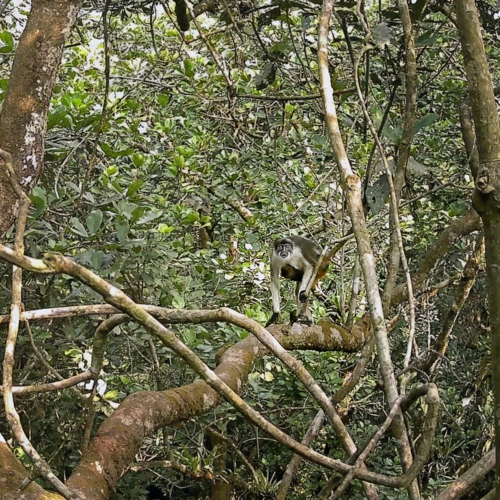 ROLEX - ROLEX勞力士2026年大獎揭曉!五位女性得主,以行動改寫全球保育與創新篇章