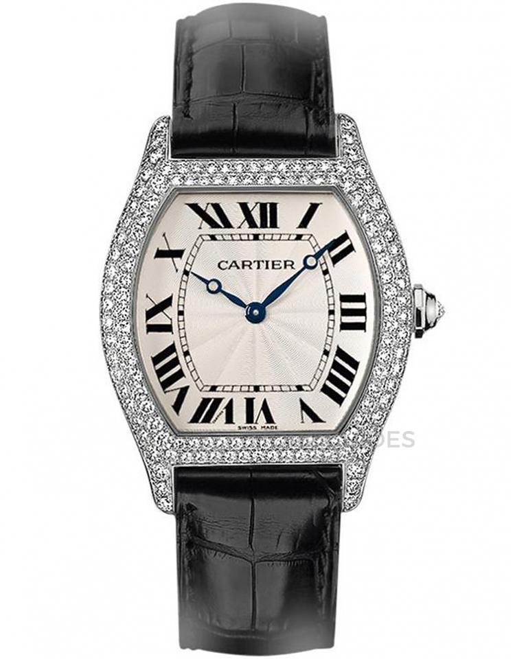CARTIER 卡地亞 - TORTUE系列 - WA503851