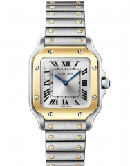 CARTIER W2SA0033