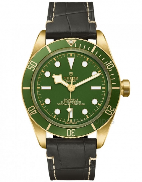 TUDOR - PELAGOS - M25707KN-0001 - TUDOR帝舵表也見漲價!2024年1月錶款最新價格曝光!