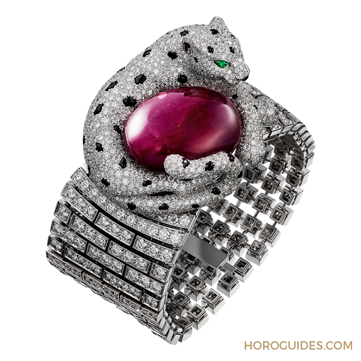 CARTIER - 見證卡地亞的綺麗盛宴！全新 COLORATURA 卡地亞頂級珠寶系列