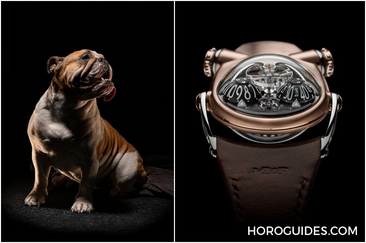 MB&F - 以英國鬥牛犬入作|MB&F HM10 Bulldog鬥牛犬腕錶