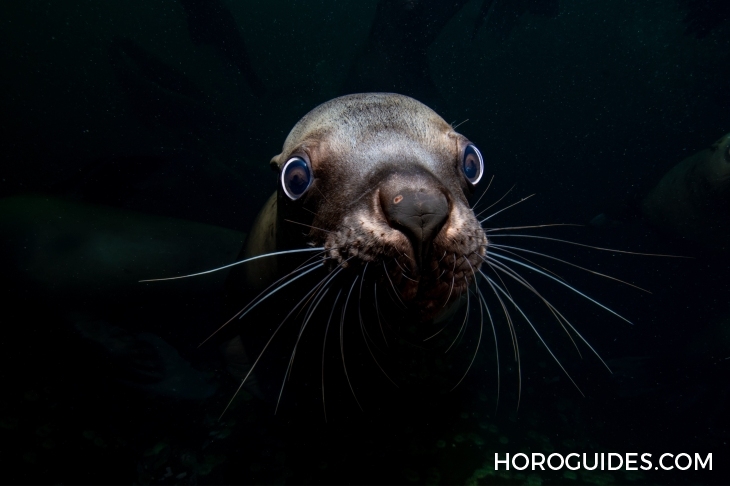 BLANCPAIN - FIFTY FATHOMS - 5100-1127-NAWA - 從她的視角，看見海的美｜Blancpain 創立「女性Fifty Fathoms五十噚」攝影獎