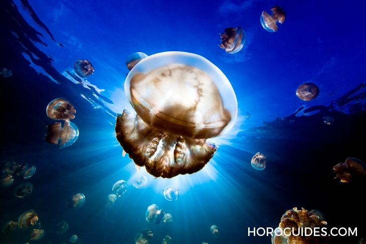 BLANCPAIN - FIFTY FATHOMS - 5100-1127-NAWA - 從她的視角，看見海的美｜Blancpain 創立「女性Fifty Fathoms五十噚」攝影獎