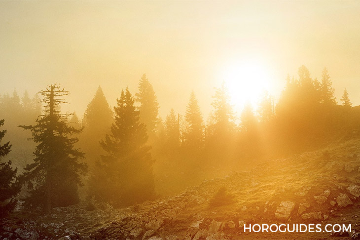 AUDEMARS PIGUET - 在古教堂與奇幻生物同行|愛彼當代藝術贊助計畫支持藝術家Petrit Halilaj與Álvaro Urbano全新創作