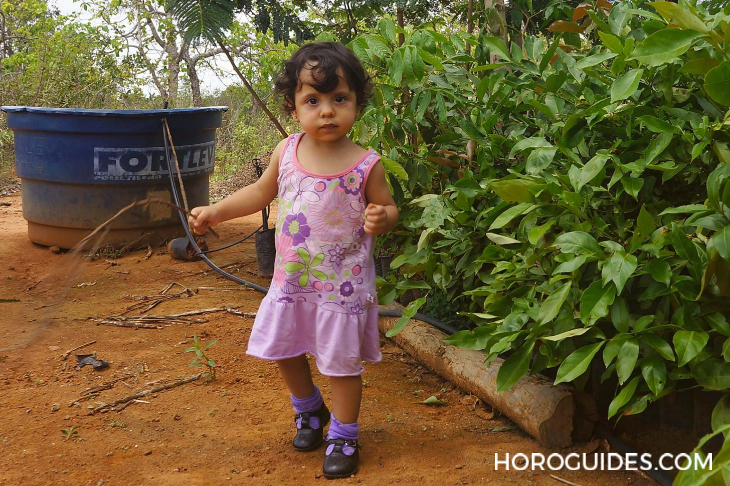 AUDEMARS PIGUET - ROYAL OAK - 26240SA.OO.1320SA.01 - 藏家呂皇甫與他的獨一無二之作:愛彼×1017 ALYX 9SM皇家橡樹系列自動上鍊計時碼錶41毫米