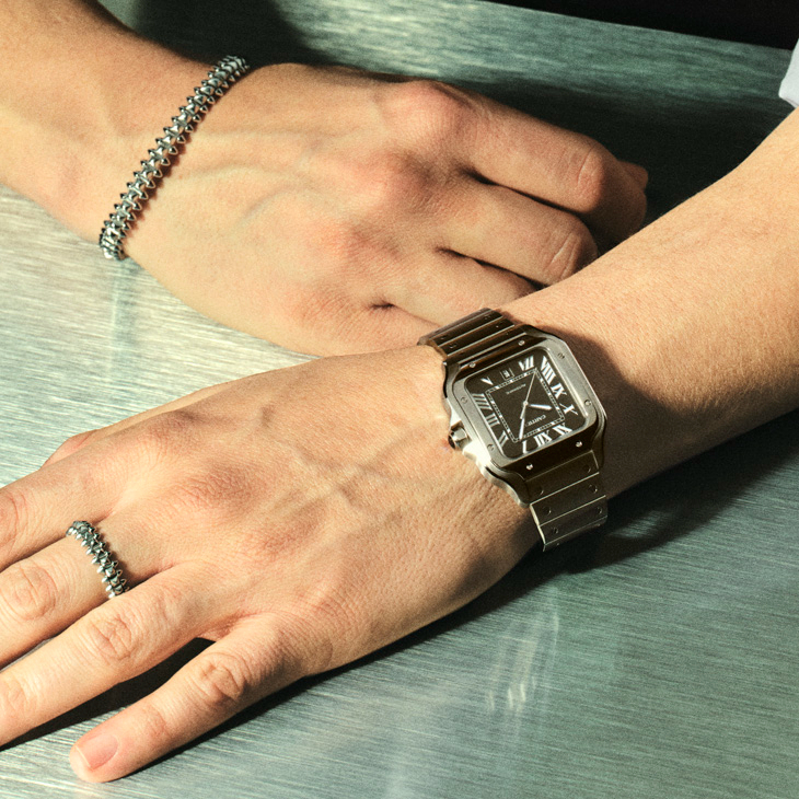 CARTIER - SANTOS DE CARITER - WSSA0089 - 經典永續,回應時代的演化力|Cartier Santos系列2025新作