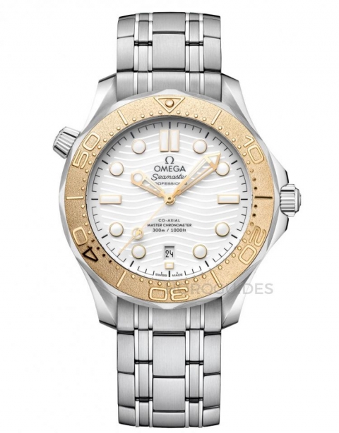 ROLEX - OYSTER PERPETUAL - 124300-0008 - TOP 100名錶熱搜排行榜:8月重點速報