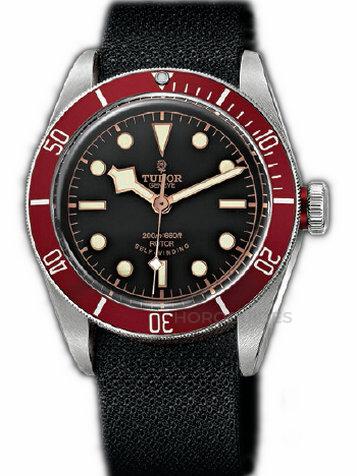 TUDOR 帝舵表 - BLACK BAY系列 - M79220R-LS+FS