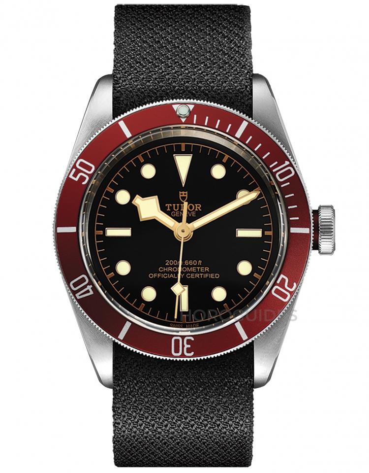 TUDOR 帝舵表 - BLACK BAY系列 - M79230R-0010