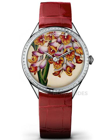 藝術大師「花之神殿」系列 ─ 山薑花