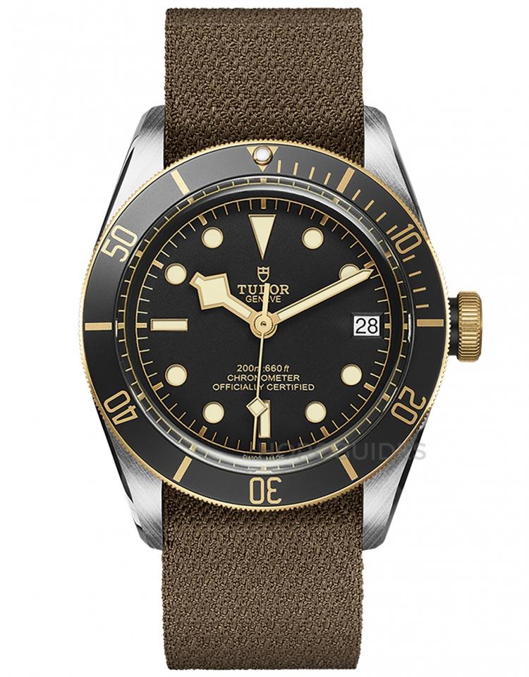 TUDOR 帝舵表 - BLACK BAY系列 - M79733N-0005