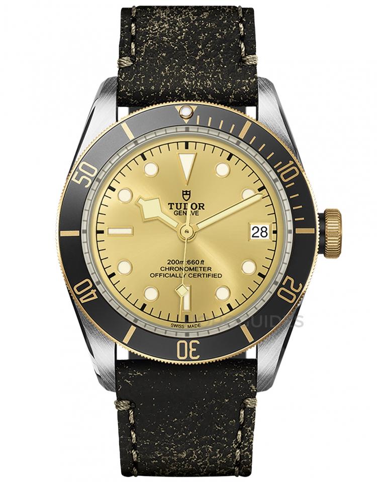 TUDOR 帝舵表 - BLACK BAY系列 - M79733N-0003