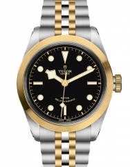 TUDOR 帝舵表 BLACK BAY BLACK BAY 41 S&G
