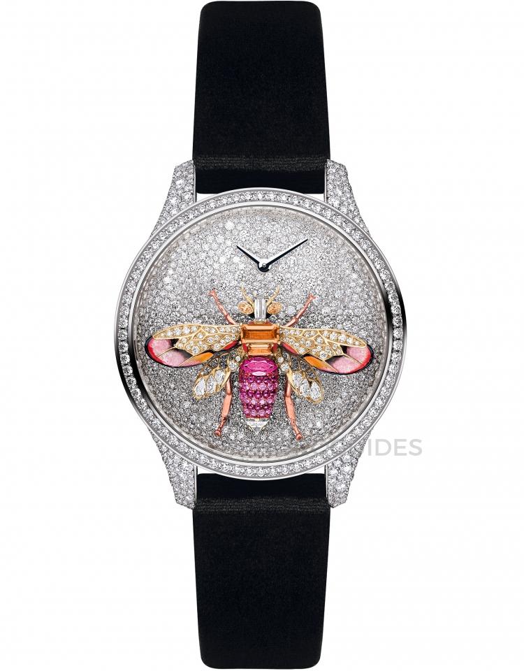 REINE DES ABEILLES N°11