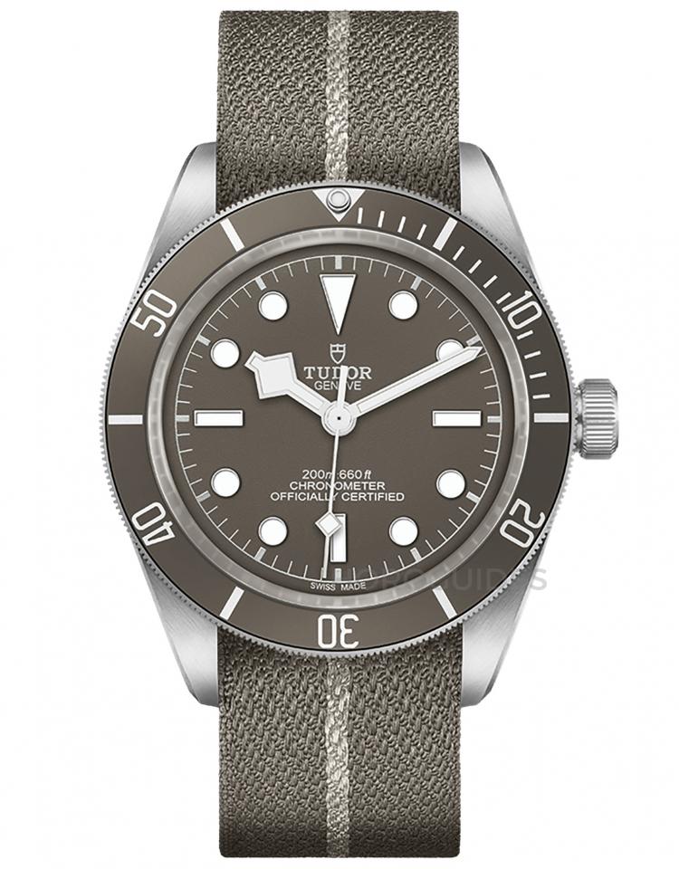 TUDOR 帝舵表 - BLACK BAY系列 - M79010SG-0002
