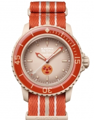 SWATCH 斯沃琪 Blancpain X Swatch ARCTIC OCEAN 北冰洋