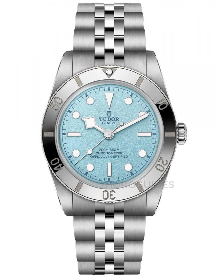 TUDOR 帝舵表 - BLACK BAY系列 - M79000-0001