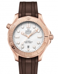 OMEGA 210.52.42.20.04.001