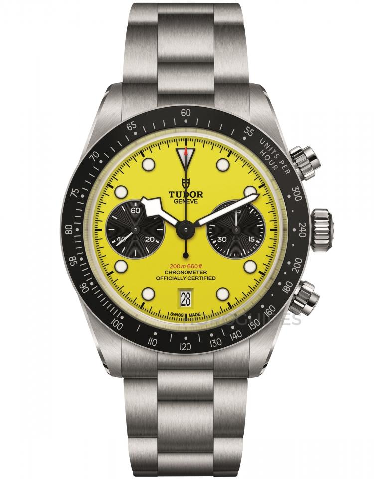 TUDOR 帝舵表 - BLACK BAY系列 - M79310N-0001